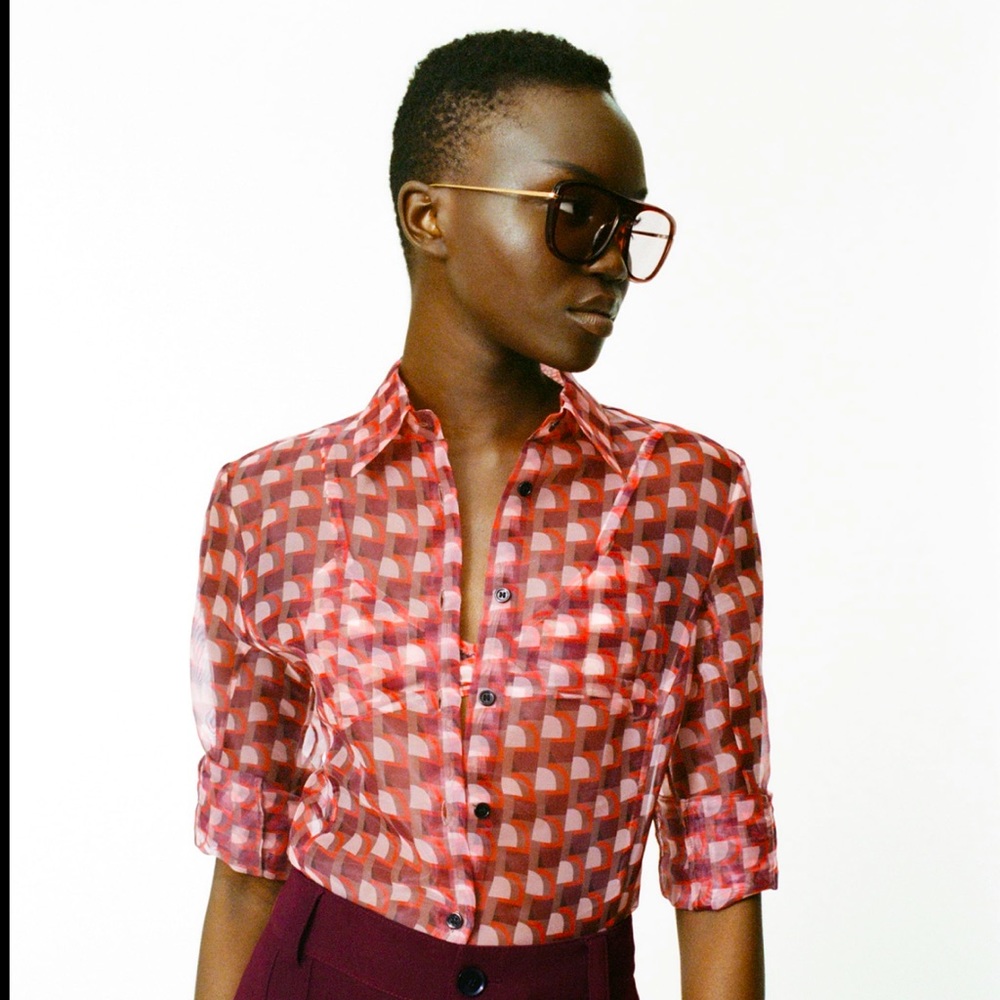 Zara Multicolored Printed Organza Shirt